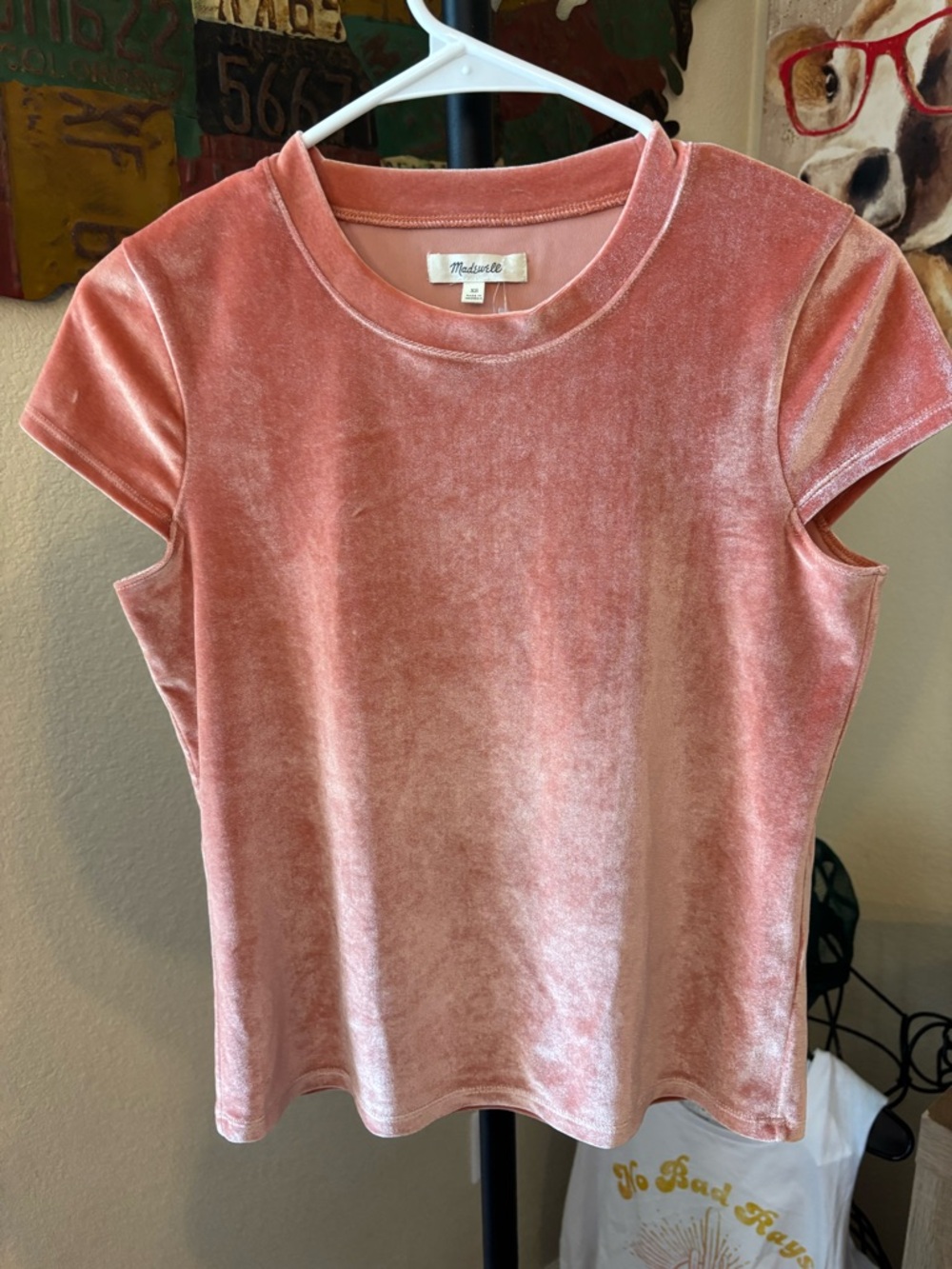 Madewell Blush Velvet Short Sleeve Tee - Picture 2 of 4